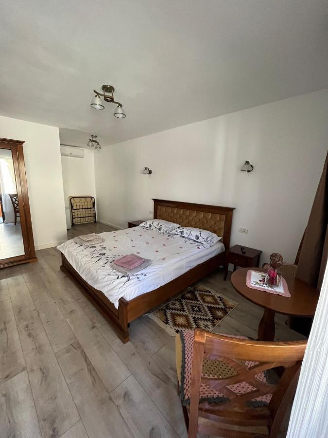La Mona Apartment Bîrsana Room photo